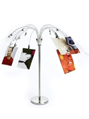 UMBRA Fotofalls  Photo/Note Clip Tree Stand